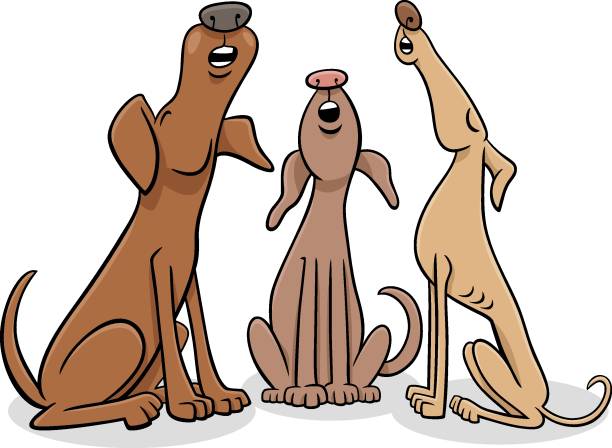 만화 짖는 소리 또는 울부 짖는 개 캐릭터 - 동물 세 마리 stock illustrations