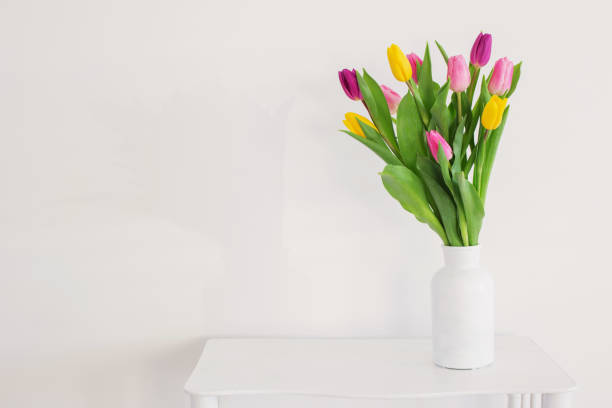 istock tulips in white vase on wooden shelf on white background 1432689101