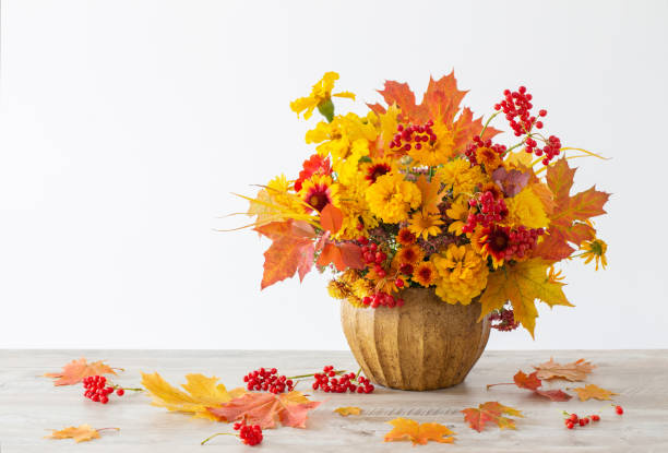 istock autumnal bouquet in ceramic vase on white background 1432689111