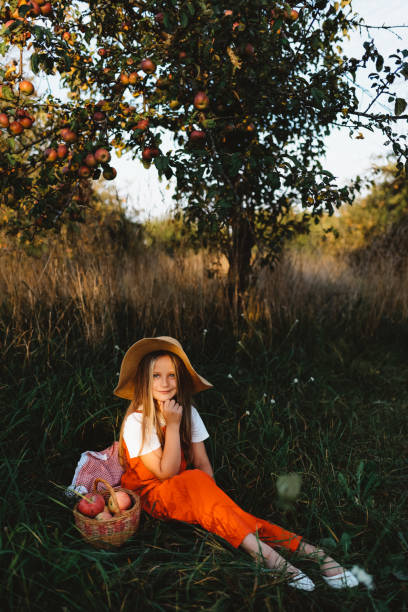 una bella bambina è seduta in giardino con un cesto di mele - bench sitting tree apple foto e immagini stock