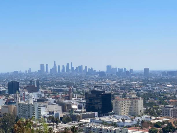 istock Hollywood and Downtown LA from Runyon Canyon 1432689999