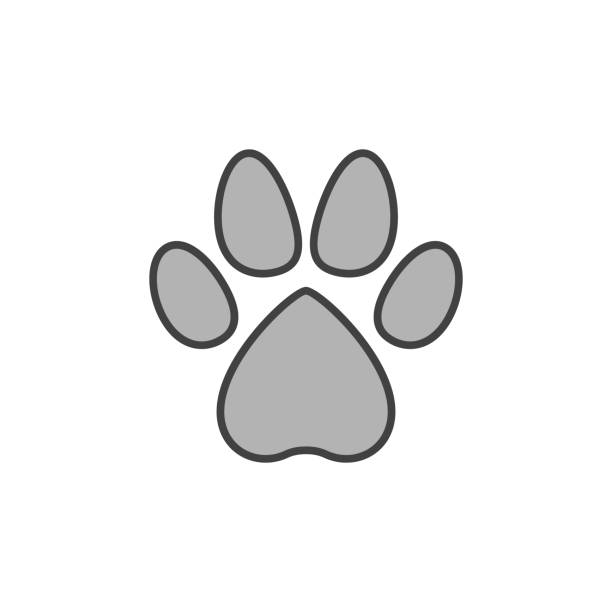 istock Dog or Puppy Paw Print vector concept gray icon or sign 1432695650