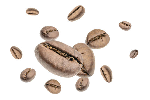 istock Coffee beans falling background. Black espresso coffee bean flying. Aromatic grain fall isolated on white. Represent breakfast for energy and freshness concept. 1432696575