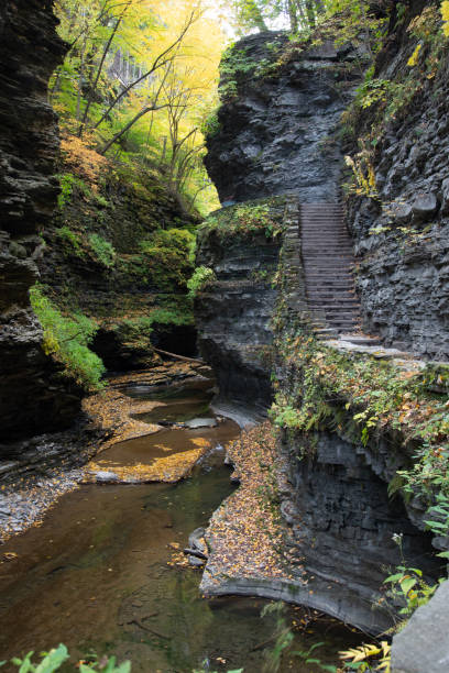istock Autumn at Watkins Glen 1432698886