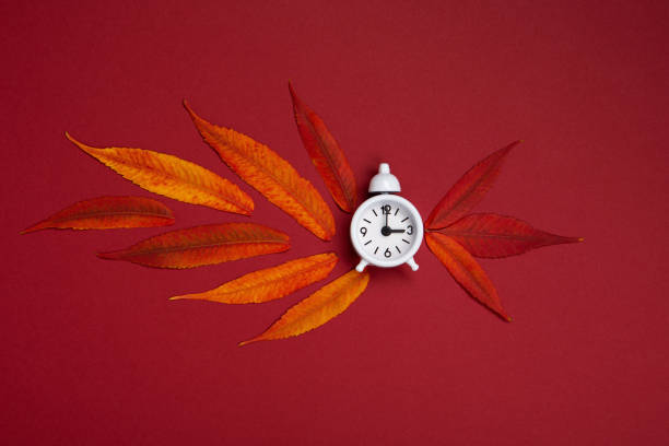 istock Fall Back, Autumn Time Change Concept. White Alarm Clock and Orange Autumn Leaves on Red Background. 1432699704