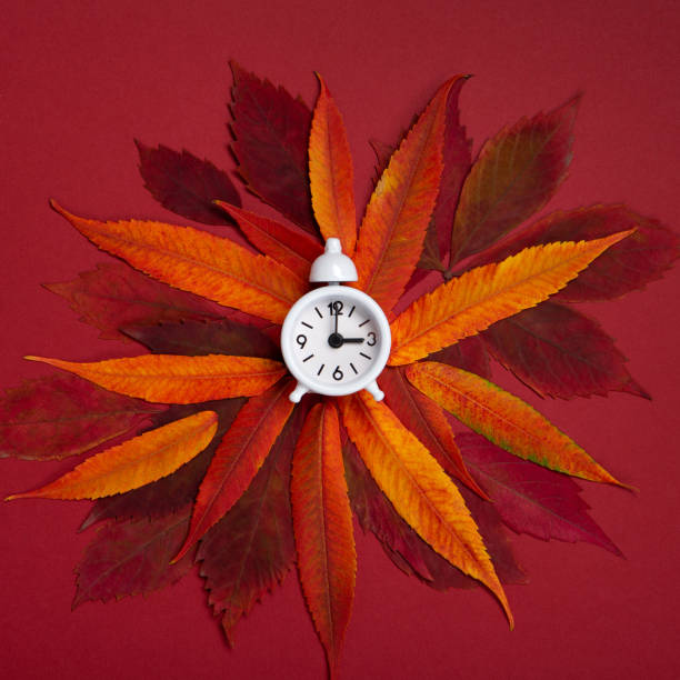 istock Fall Back, Autumn Time Change Concept. White Alarm Clock and Orange Autumn Leaves on Red Background. 1432699709
