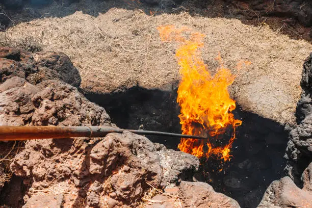 A fire coming from volcanic heat, Timanfaya National Park, Lanzarote, Canary Islands, Spain