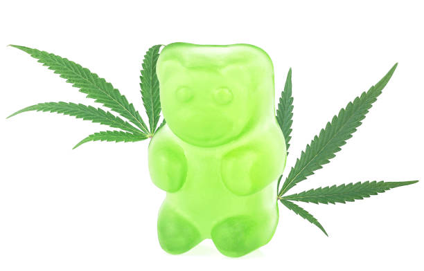 12 медведей марихуана