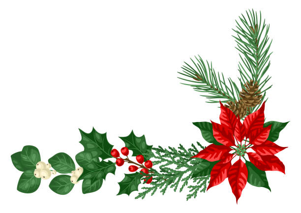 ilustrações de stock, clip art, desenhos animados e ícones de element with winter plants. merry christmas and happy new year decoration. - holly christmas leaf berry fruit