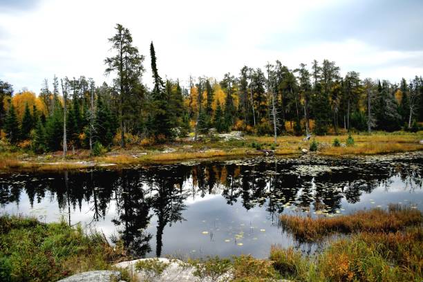 istock Fall Canadian Lake of Woods Lands 1432705521