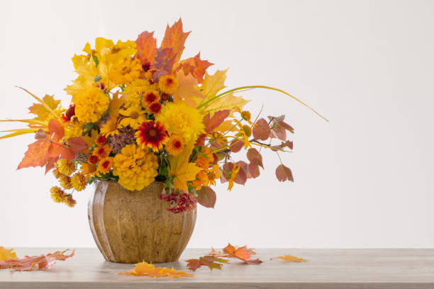 istock autumnal bouquet in ceramic vase on white background 1432707457