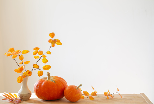 Autumn Pumpkin Background