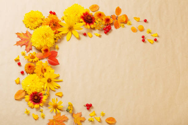 autumn flowers and leaves on  paper background