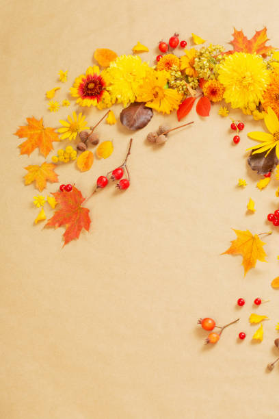 istock autumn flowers and leaves on  paper background 1432707500