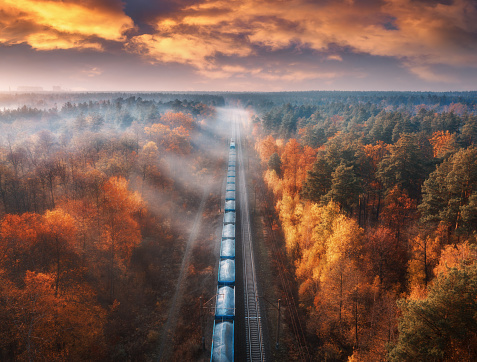 Aerial view of freight train in beautiful forest in fog at sunset in autumn. Landscape with railroad, foggy trees, trail and colorful sky with clouds. Top view of moving train in fall. Railway station