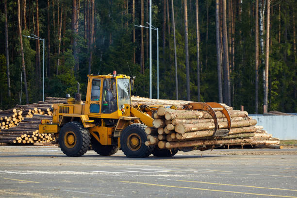 istock the loader transports large sawn logs for further processing 1432712884