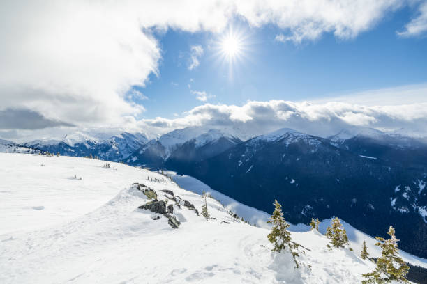 Ski tracks cover a piste leading towards pine trees and snow capped mountains.