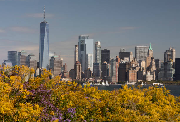 istock Manhattan observed from Liberty Island. 1432714763