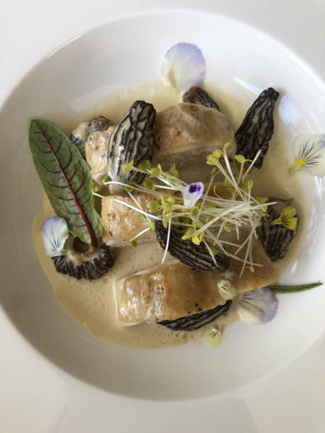 Poularde aux morilles (Creamy Chicken with in Morel Mushroom Sauce) on top of a table cloth (Creamy Chicken with in Morel Mushroom Sauce) on top of a table cloth poularde stock pictures, royalty-free photos & images