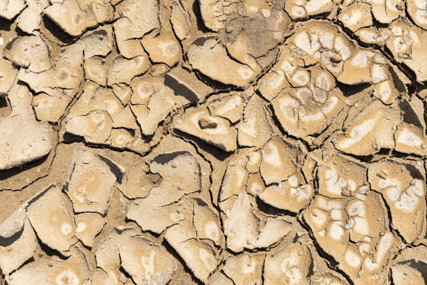 istock cracked and dried mud as background and texture 1432719990