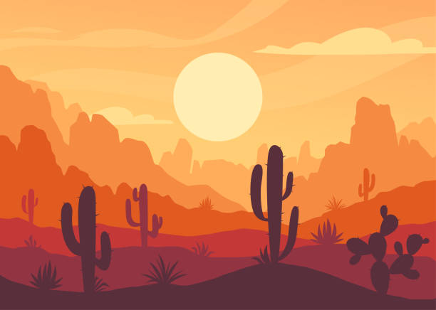 Beautiful desert landscape Beautiful desert landscape. Organic background with Western Texas panorama. Banner with silhouettes of mountains, canyons, scorching sun and cacti. Nature of USA. Cartoon flat vector illustration cowboy silhouette desert stock illustrations