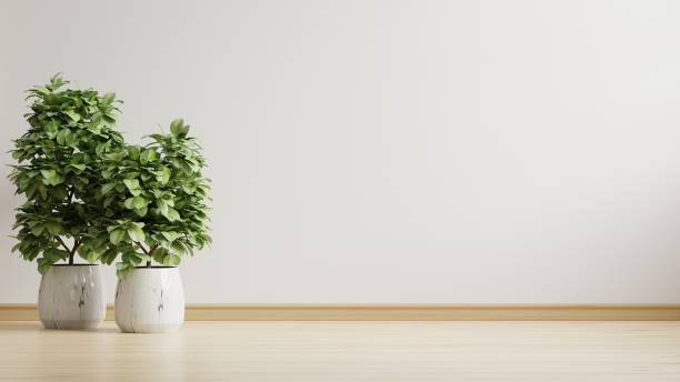 istock Empty room with plants mockup have wooden floor. 1432732364
