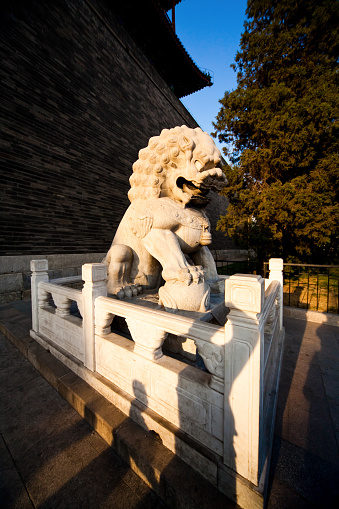 Chinese stone lion