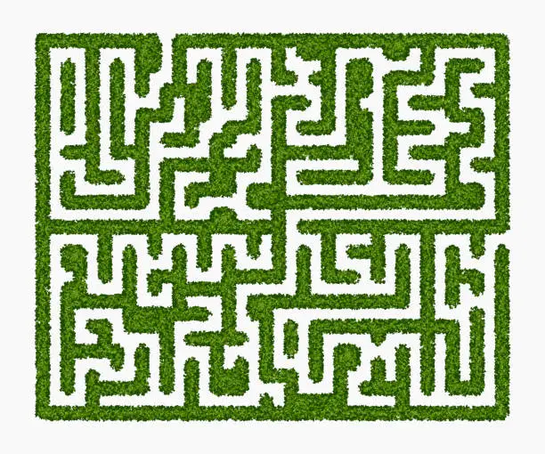 Vector illustration of Labyrinth of green hedge on white background