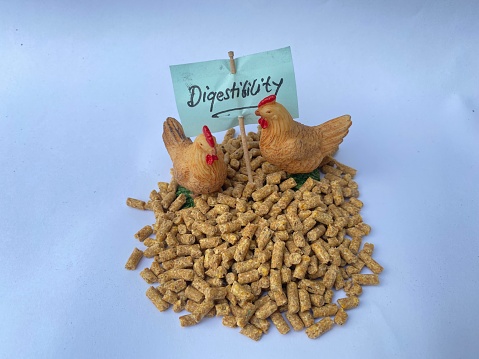 Digestibility and Gut Health in Poultry