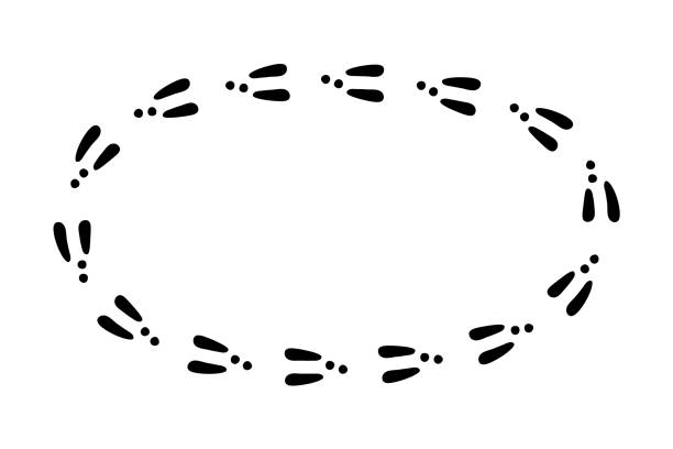 Sendero Rabbit 70+ Cartoon Of A Rabbit Footprints In Snow Ilustraciones de Stock ...