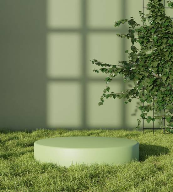 Showcase product podium on natural grass field 3D render illustration