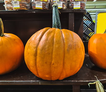 Simple pumpkin on a display from a supermarket.
