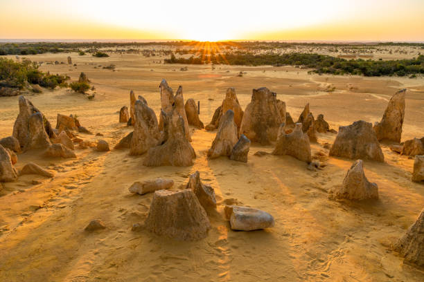 sunset at pinnacles desert park in perth, west australia - nambung national park imagens e fotografias de stock