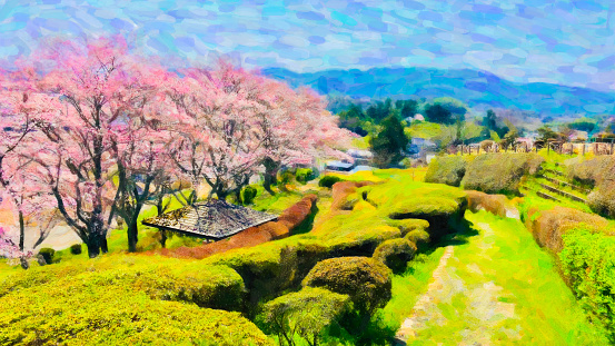Japanese garden with rows of cherry blossom trees in　Kagurao Park, Okayama Prefecture.