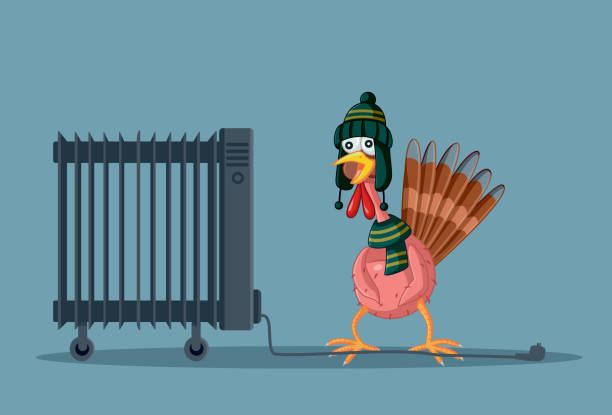 Turkey Feeling Cold Suffering During Energy Crisis Vector Illustration Thanksgiving bird experiencing a power blackout because of energetic crisis during the holidays electric plug dark stock illustrations