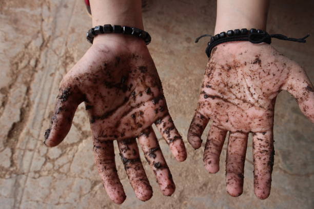 istock dirty hands full of dirt 1432758256