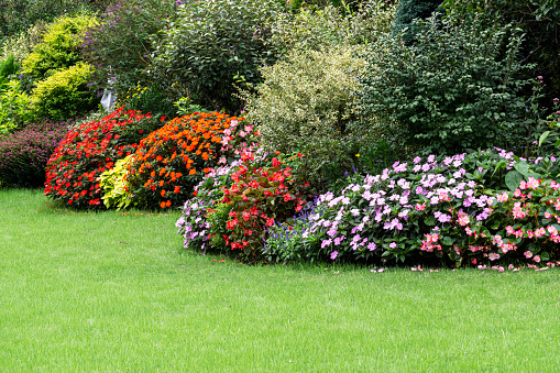 Beautiful gardening and flowers