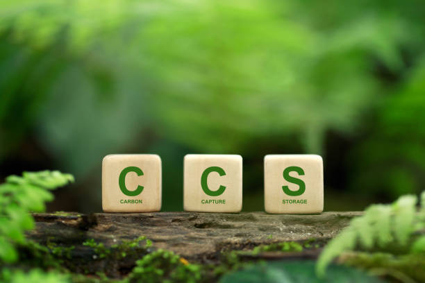 ccs acronym for carbon capture storage words ccs on a wood block on the environmental background. net zero action concept. save energy, green energy, reduce carbon footprint, carbon capture. - recycling carbon footprint footprint sustainable resources imagens e fotografias de stock