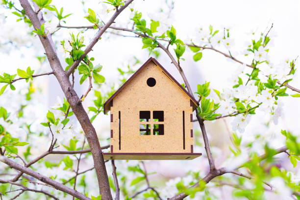 modelo de casa de madera colocada en un árbol en flor - birdhouse house bird house rental fotografías e imágenes de stock