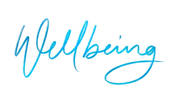 WELLBEING blue brush calligraphy banner on white background