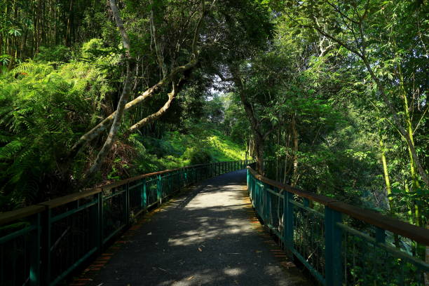 istock Sun Moon Lake National Scenic Area, 1432764967