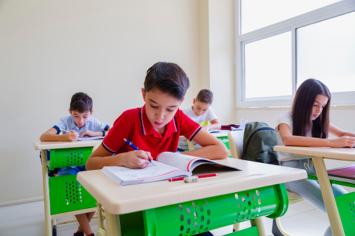 Niños pequeños concentrados sentados en el escritorio en la lección en el salón de clases, escribiendo photo