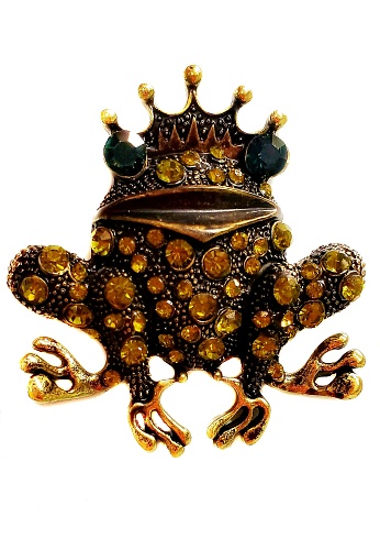 A frog prince pin