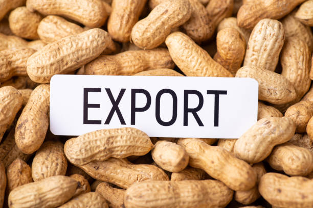 istock Paper with inscription Export on peanuts in peel 1432768623