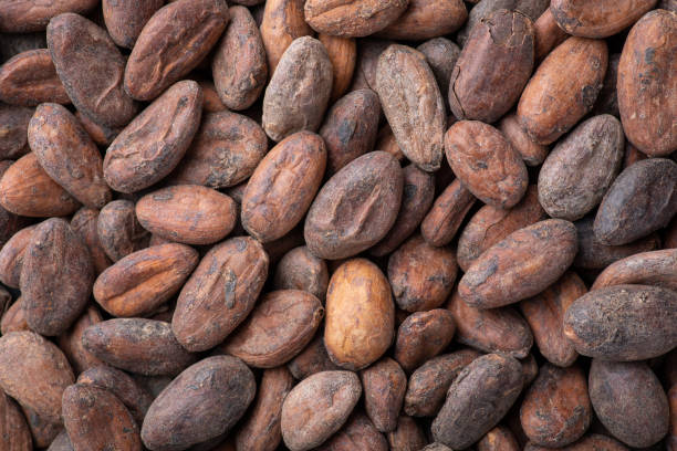 istock Flat background of cocoa beans 1432768643