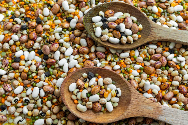 legumes with serving scoop - fava bean bean seed imagens e fotografias de stock