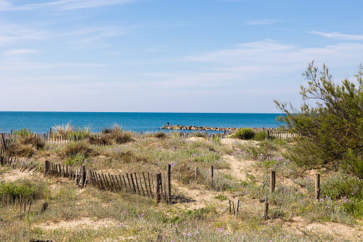 Dunes of the Petit Travers beach in Carnon, near Montpellier, in spring