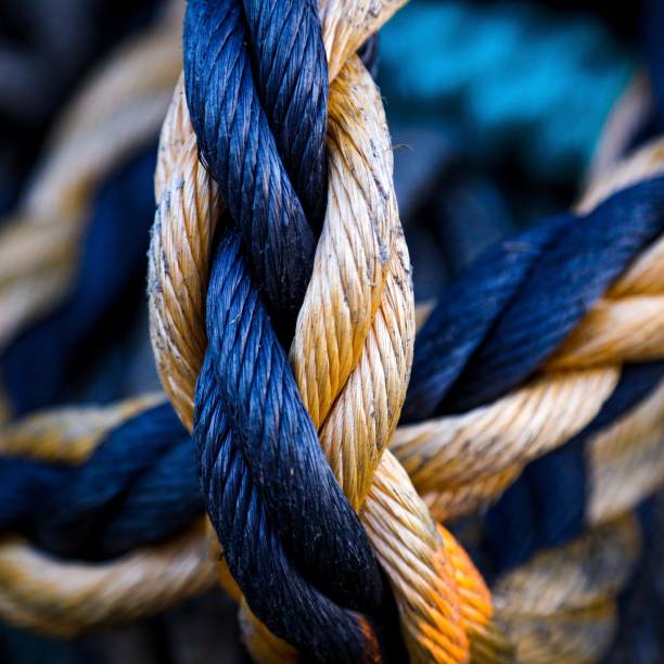 Neptune Rope 170+ Kuiper Stock Photos, Pictures & Royalty-Free Images - iStock