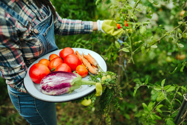 Homegrown food for a healthy life! Sustainable living.