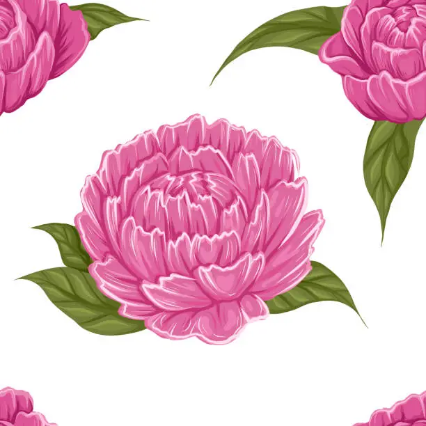 Vector illustration of Vector seamless pattern with big peony flowers with foliage on white background for wrapping paper. Texture of pink flowerhead in row for wallpaper